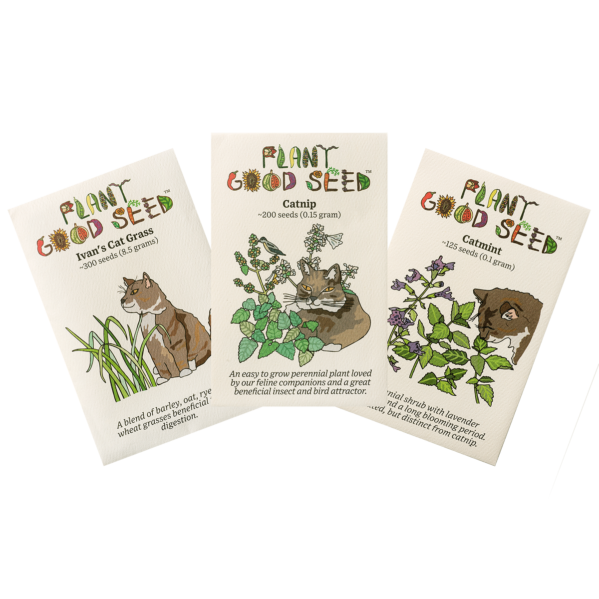 Kitty Seed Collection - Three Packets