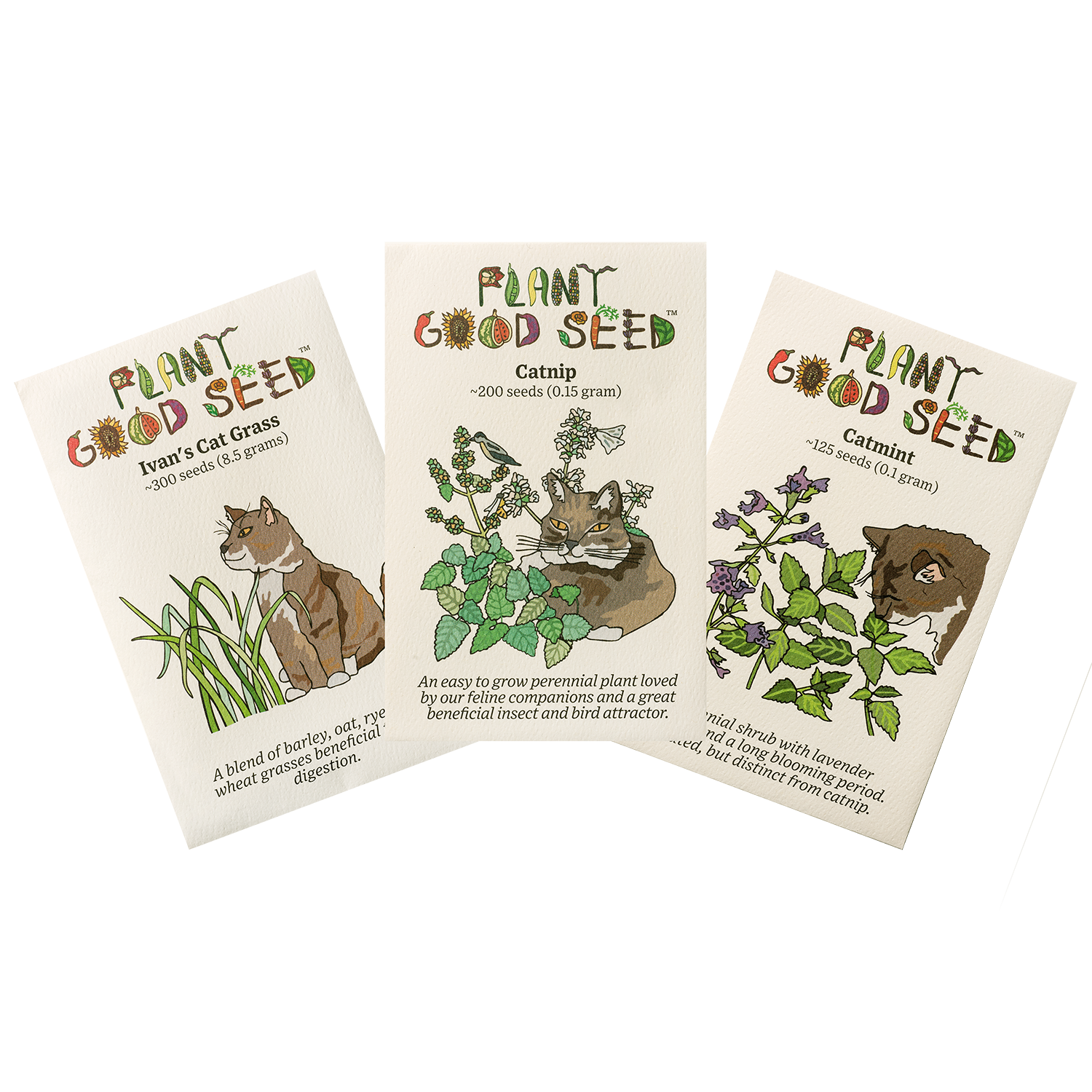 cat plant seeds Kitty Seed Collection - Three Packets