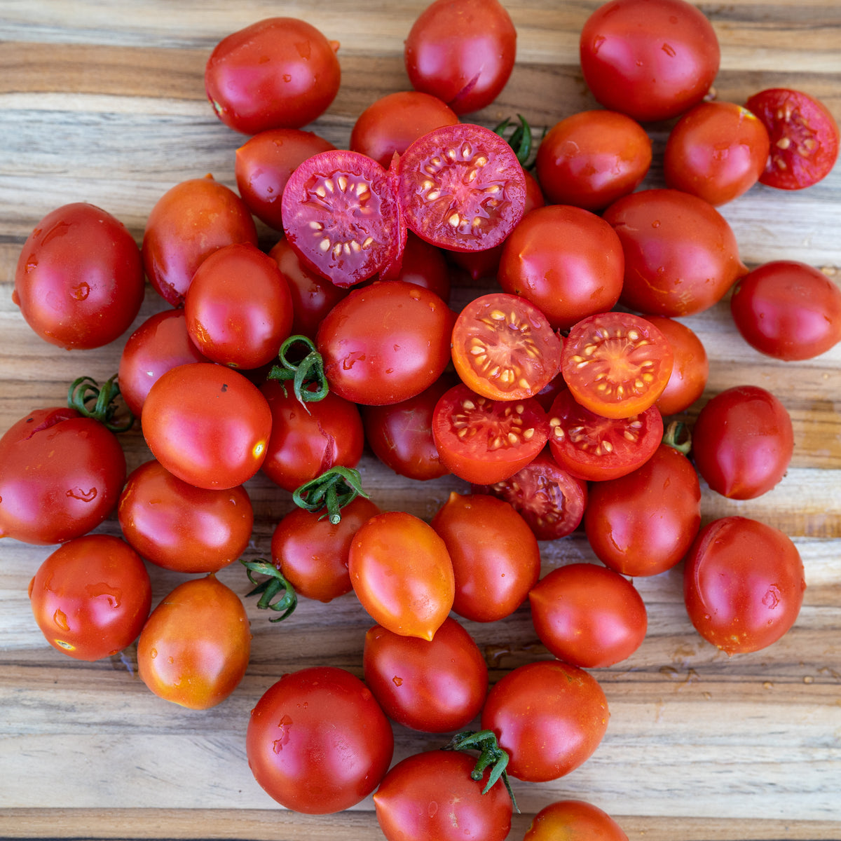 Sweet Red Datterino Tomato