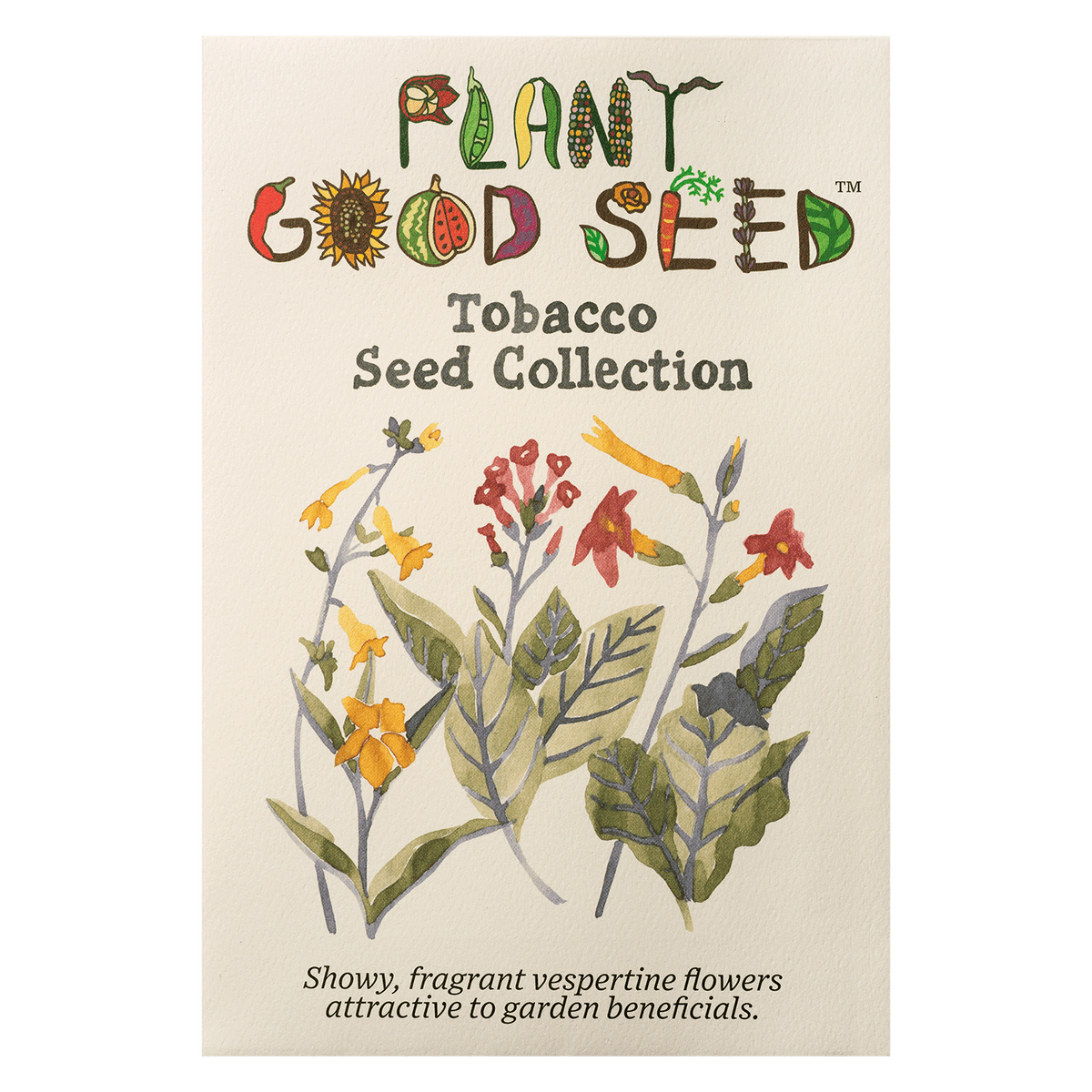 Tobacco Seed Collection