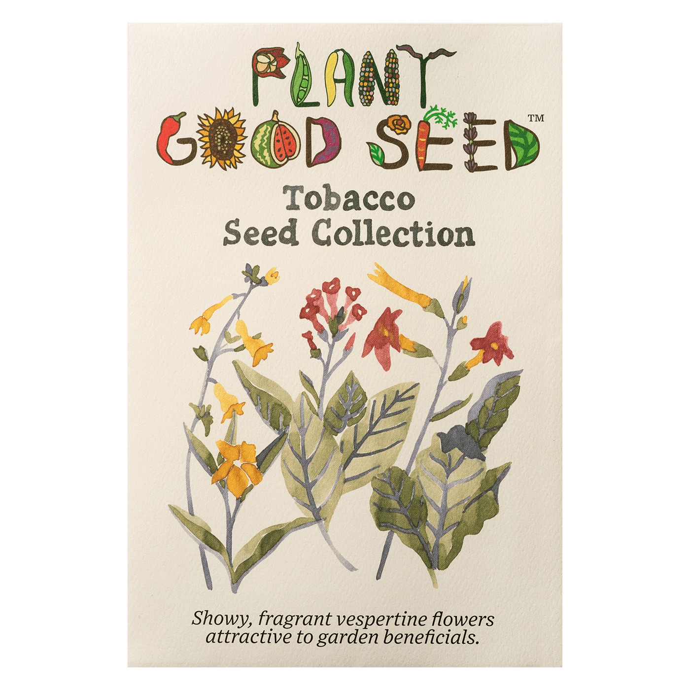 Tobacco Seeds The Plant Good Seed Company