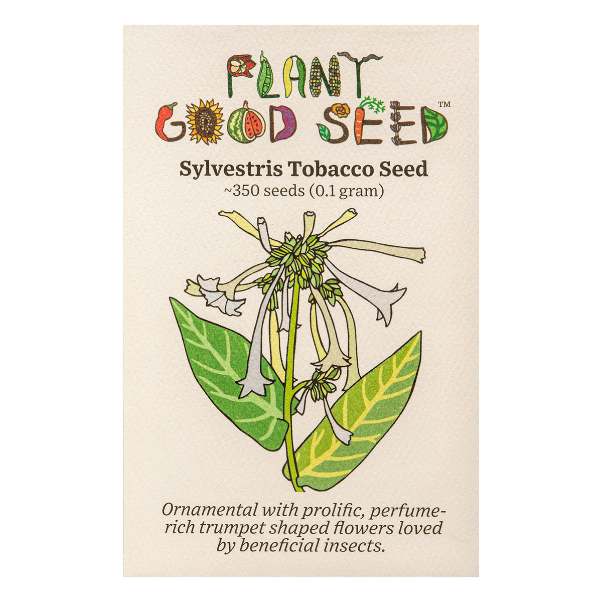 Sylvestris / Woodland Tobacco Seed