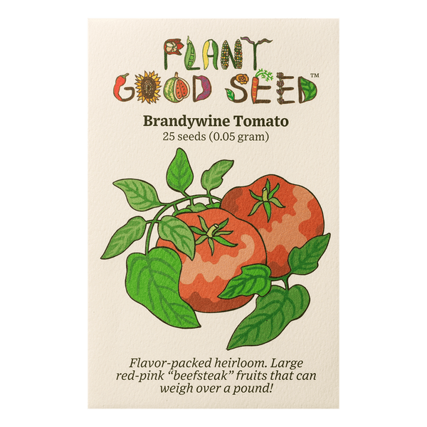 Brandywine Tomato Seeds The Plant Good Seed Company