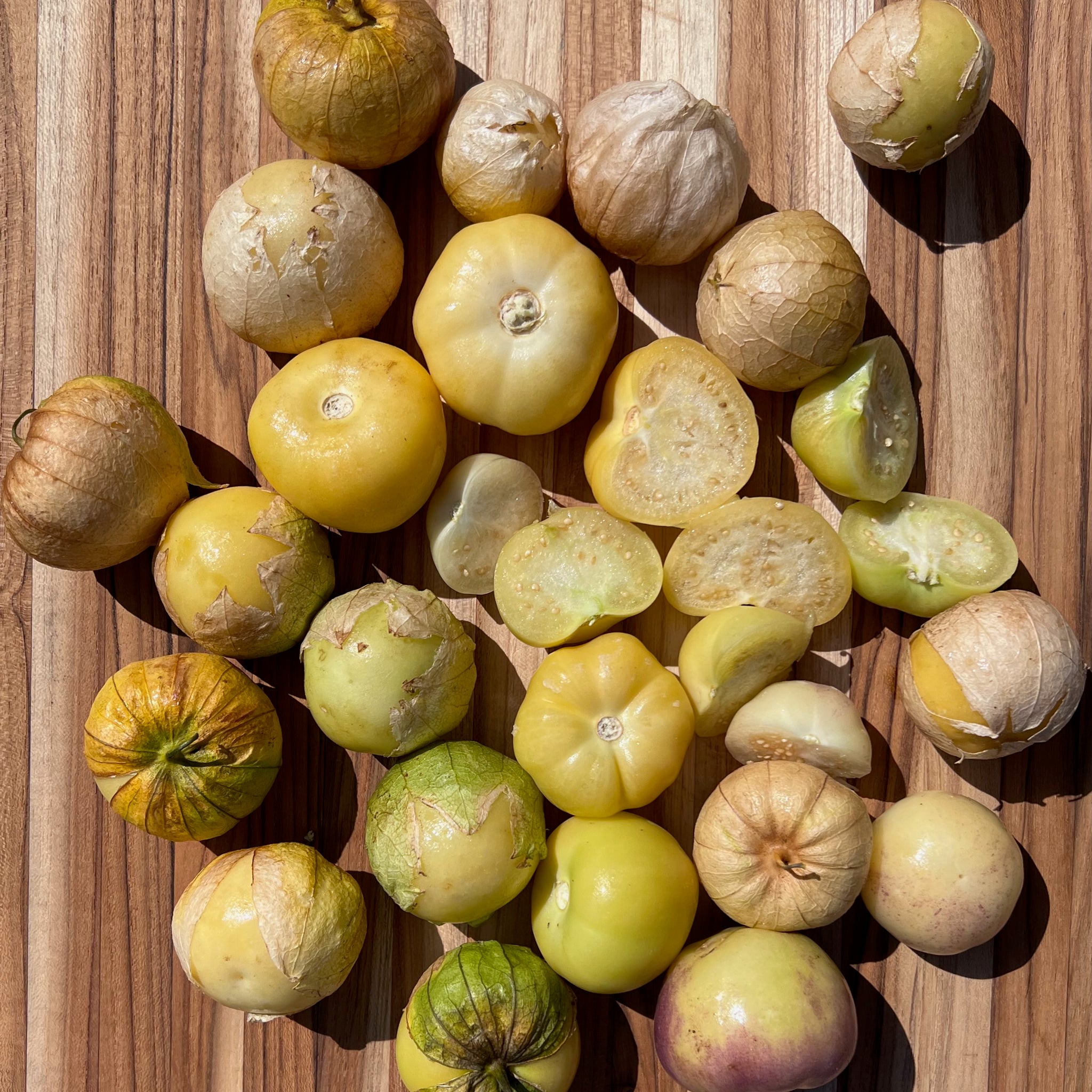 plant tomatillo seeds Toma Verde Tomatillo Seeds