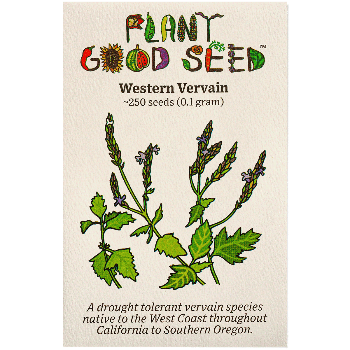 Western Vervain (Verbena lasiostachys) seed packet