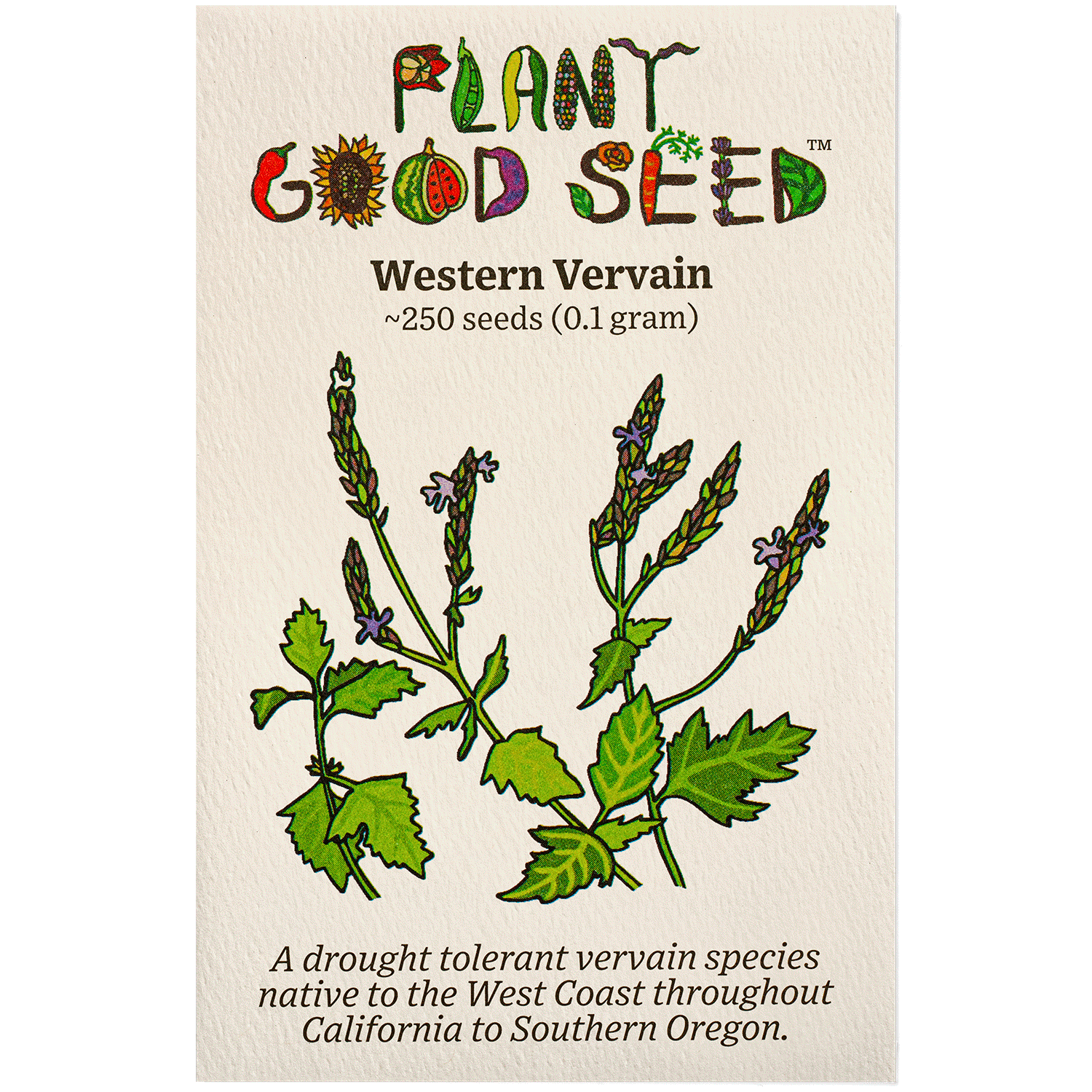 plant verbena seeds Western Vervain Seeds