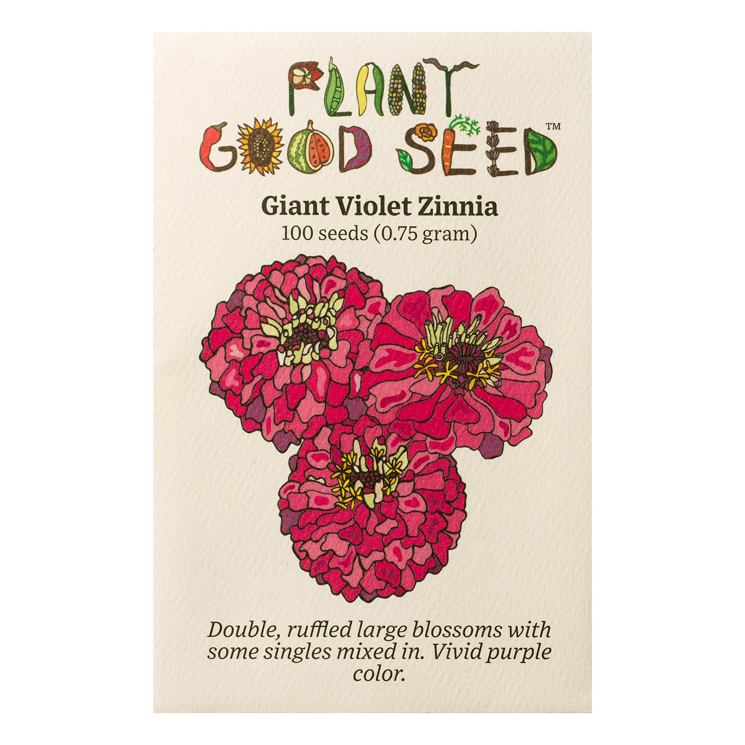 zinnia plant seeds Giant Violet Zinnia Flower Packet: ~100 seeds (0.75 gram)